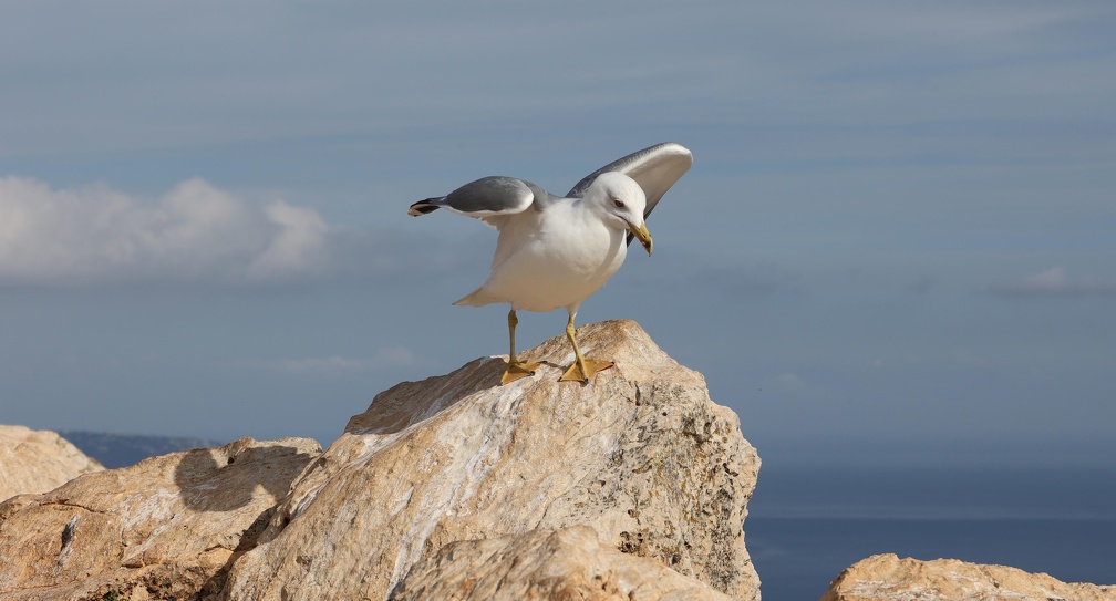 091 Spanien2024-11-08 13꞉32