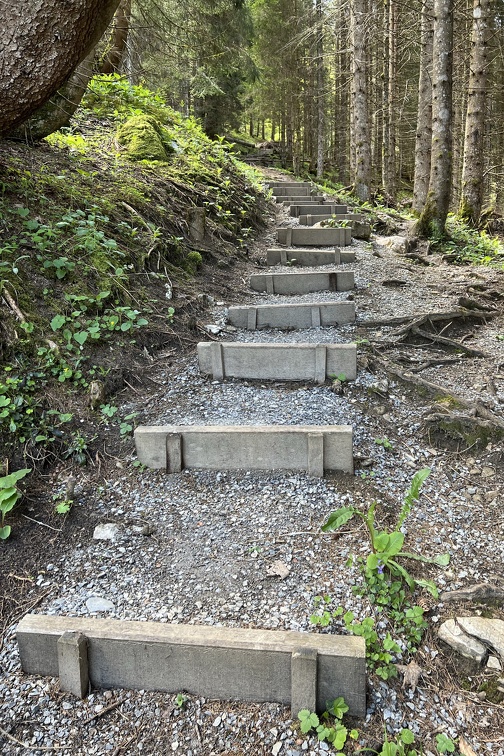 Roggenstock2025-05-16 10꞉57